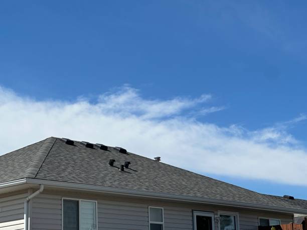 Best Roof Ventilation Installation  in Sequim, WA